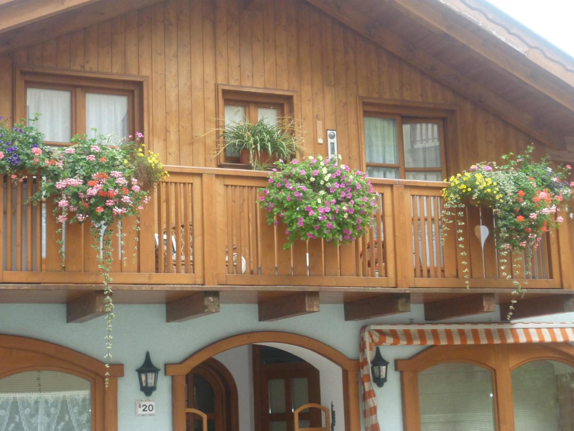 Appartamenti -Casa Nicolussi- Molveno Exterior foto